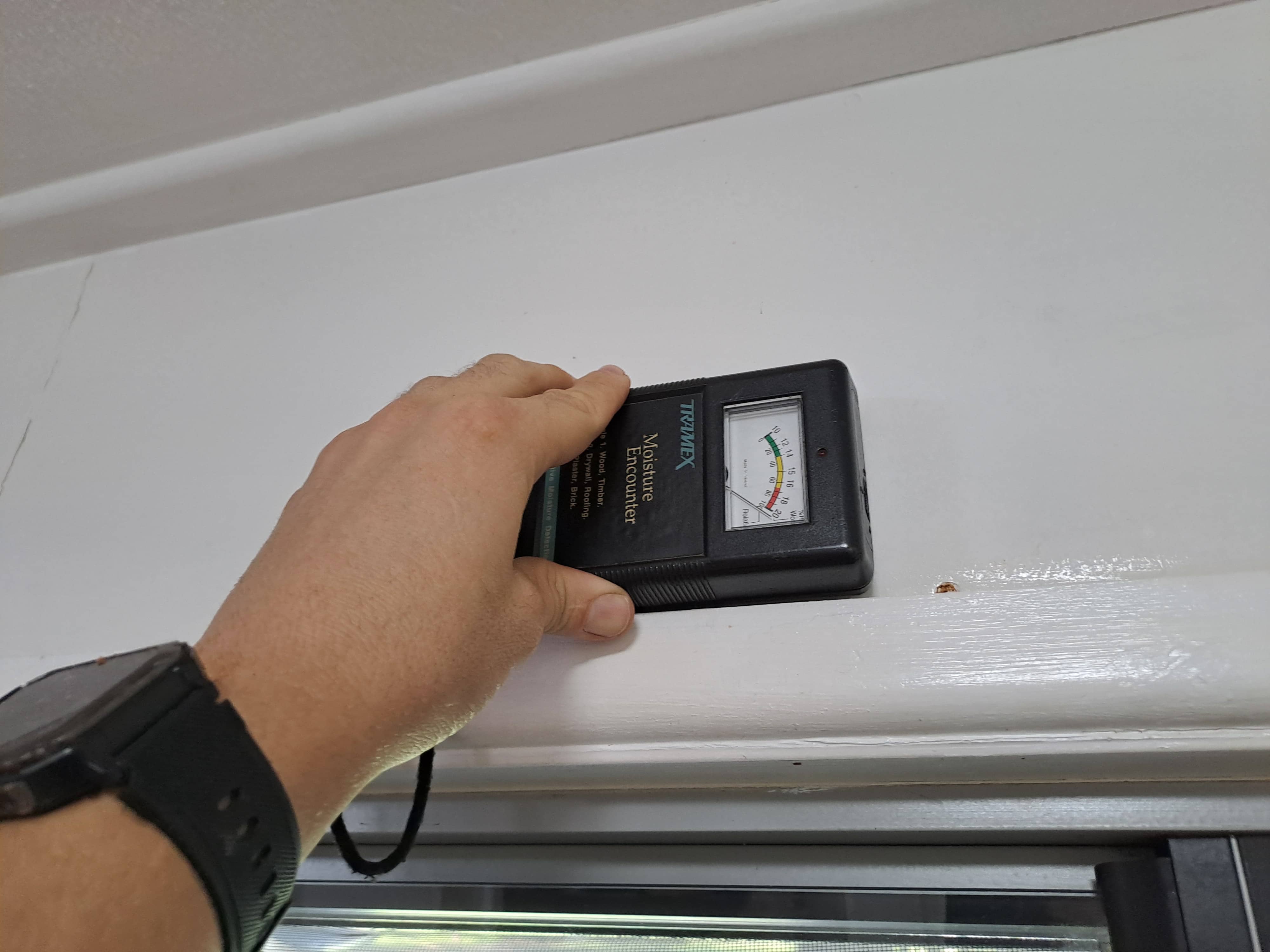 Professional Termite Inspection Using Moisture Meter